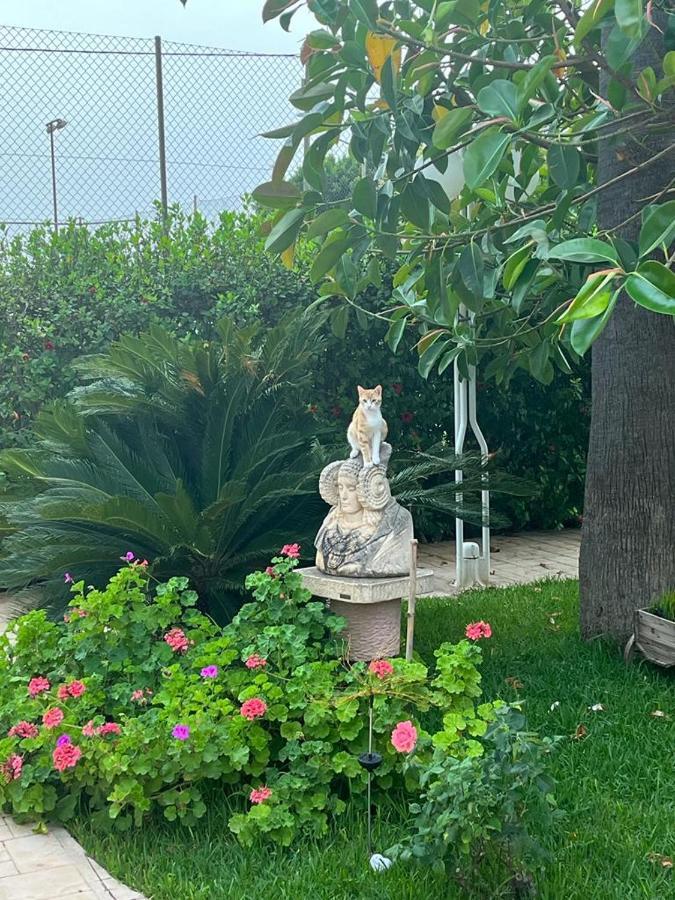 Romantico Wellness Casa Veronica Elx Buitenkant foto